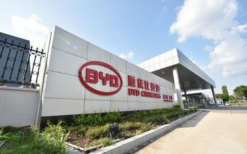 走進弗迪電池重慶工廠 解密比亞迪刀片電池與重慶軟件開發(fā)的雙重驅(qū)動